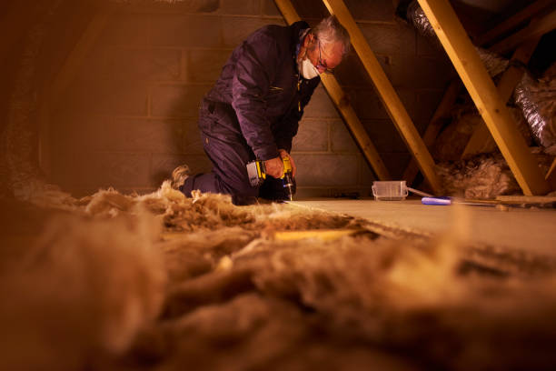 Best Insulation for Specific Applications in Sarand, AL
